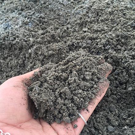 bild på gräsmattejord