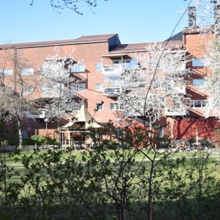 Bostadsrätt med grönska